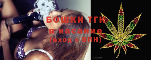 прущие грибы Армянск