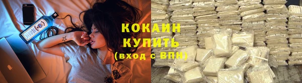 прущие грибы Армянск