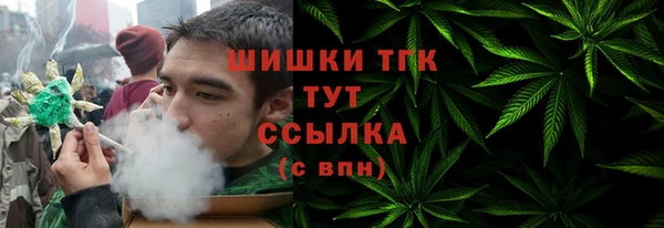 прущие грибы Аркадак