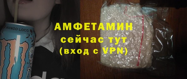 прущие грибы Аркадак