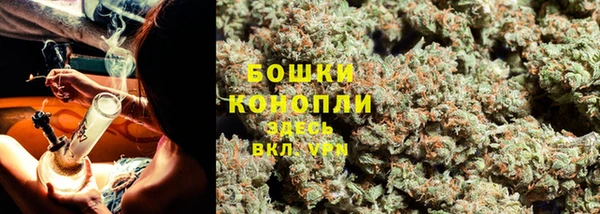 прущие грибы Аркадак
