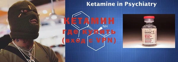 прущие грибы Аркадак