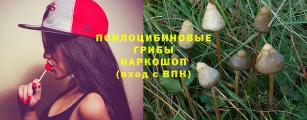 прущие грибы Аркадак