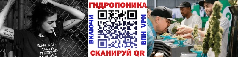 Бошки марихуана конопля  blacksprut ONION  Рудня  где можно купить наркотик 